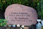 Conny Andersen.JPG